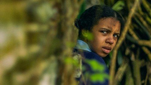 Malory Towers Season 2 Episode 3 - The Stray