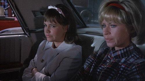 Gidget Season 1 Episode 26 - Take a Lesson