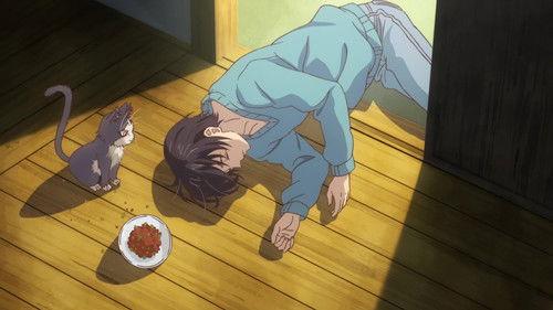 My Roommate is a Cat Season 1 Episode 1 - An Encounter with the Unknown