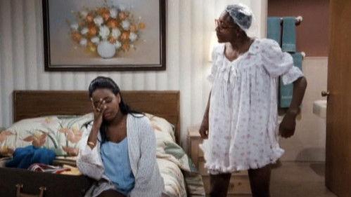 Family Matters Season 5 Episode 2 - It Didn't Happen One Night