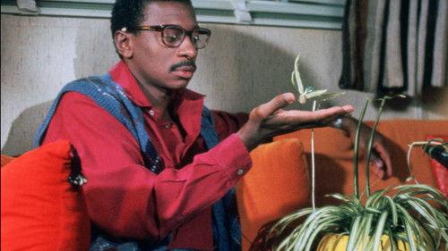 undefined Season 2 Episode 15 - The 21-Inch Sun