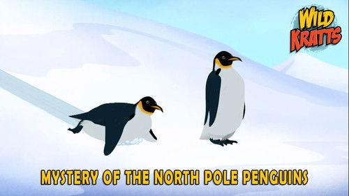 Wild Kratts Season 5 Episode 1 - Mystery of the North Pole Penguin