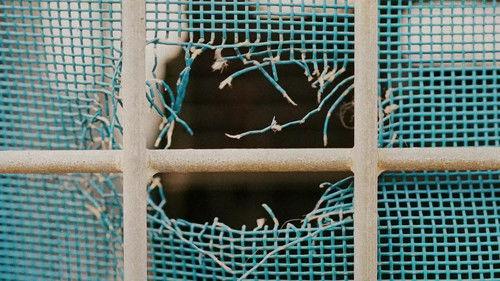 Run the Burbs Season 2 Episode 11 - Turn Lepht