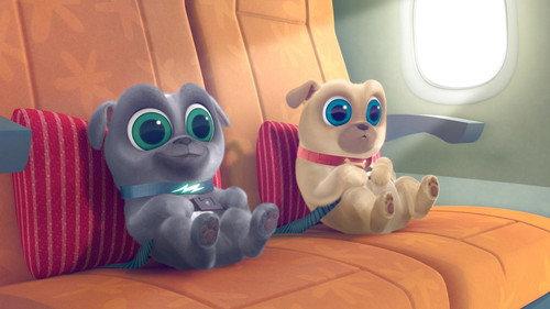 Puppy Dog Pals Season 1 Episode 1 - Hawaii Pug-Oh
