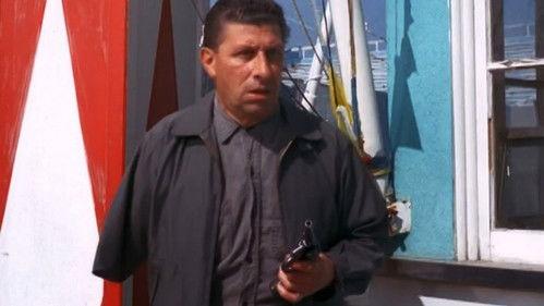 The Fugitive Season 4 Episode 30 - The Judgment (2)