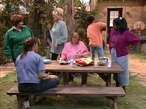 Roseanne Season 3 Episode 24 - Scenes from a Barbecue
