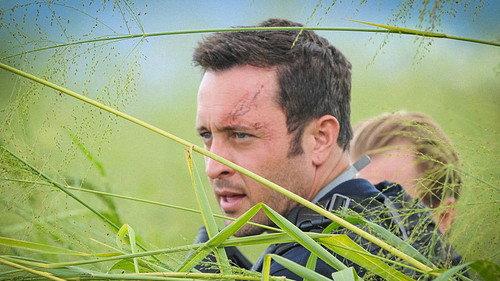 Hawaii Five-0 Season 5 Episode 13 - Lā Pōʻino (Doomsday)