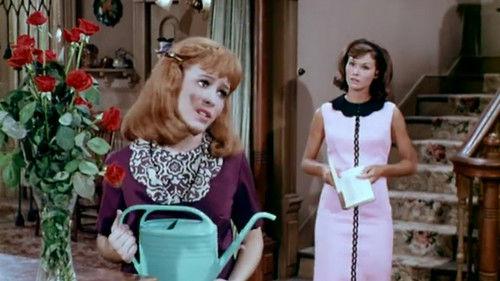 Petticoat Junction Season 5 Episode 3 - One Dozen Roses