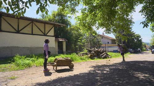 The Amazing Race Season 37 Episode 7 - Be One With the Hay