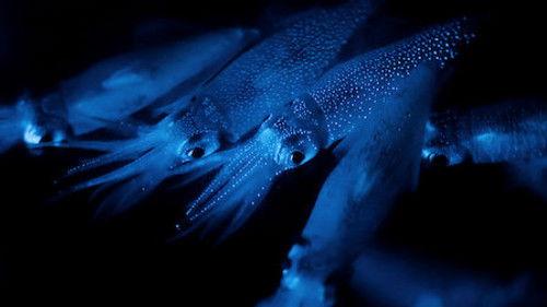 Night on Earth Season 1 Episode 4 - Dark Seas