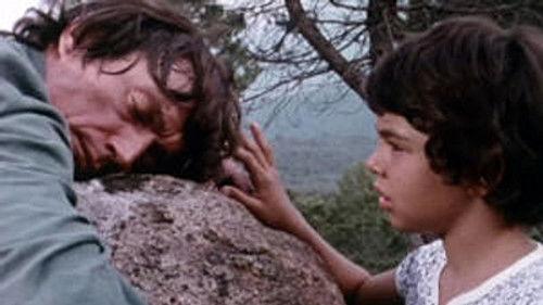 Poly Season 8 Episode 8 - Episode 8