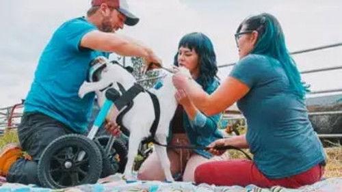 The Wizard of Paws Season 6 Episode 3 - Agatha, the G.O.A.T. Goat