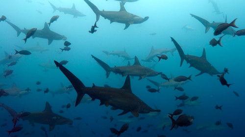 undefined Season 1 Episode 3 - Breaking Point