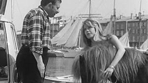 Poly Season 6 Episode 1 - Episode 1