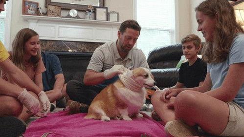 The Wizard of Paws Season 3 Episode 1 - Boots