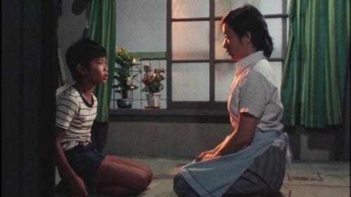 Japanese Spiderman Season 1 Episode 18 - The Boy Who Restores His Faith in His Mother