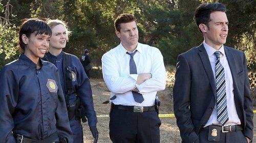 Bones Season 10 Episode 6 - The Lost Love in the Foreign Land