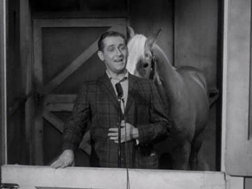 Mister Ed Season 1 Episode 14 - Ed the Songwriter