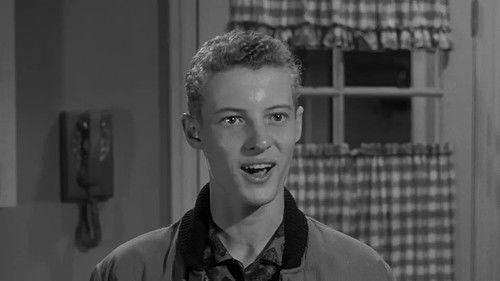 Leave It to Beaver Season 4 Episode 1 - Beaver Won't Eat