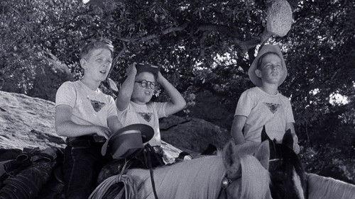 The Adventures of Spin and Marty Season 1 Episode 19 - Perkins and the Bear