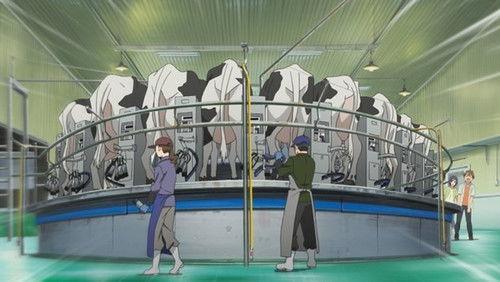 Silver Spoon Season 1 Episode 7 - Hachiken Goes to Giga Farm