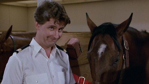 The Love Boat Season 4 Episode 7 - Secretary to the Stars/Julie's Decision/The Horse Lover/Gopher and Isaac Buy a Horse