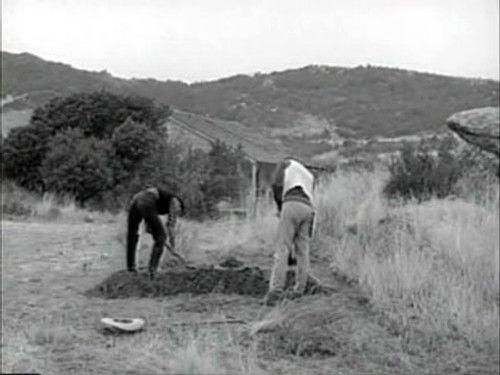 Gunsmoke Season 4 Episode 13 - The Cast