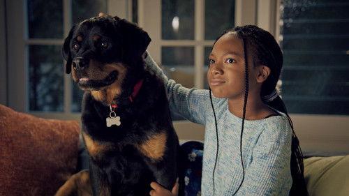 Puppy Place Season 2 Episode 1 - Molly