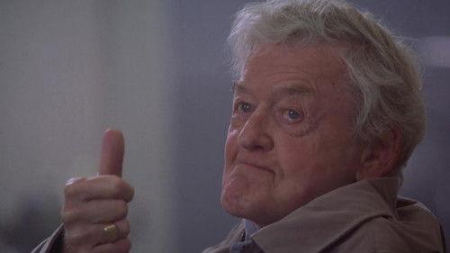 undefined Season 14 Episode 19 - The Chicago Way