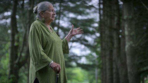 Unsolved Mysteries Season 1 Episode 5 - Berkshires UFO