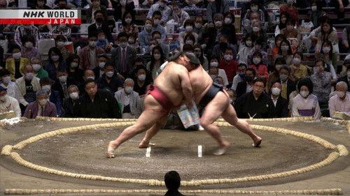 GRAND SUMO Highlights Season 11 Episode 4 - Day 4