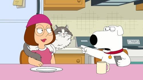 Family Guy Season 19 Episode 19 - Family Cat