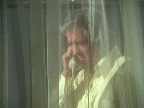 Hawaii Five-O Season 5 Episode 6 - Fools Die Twice