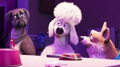 Mystery Lane Season 1 Episode 20 - The Riddle Maker