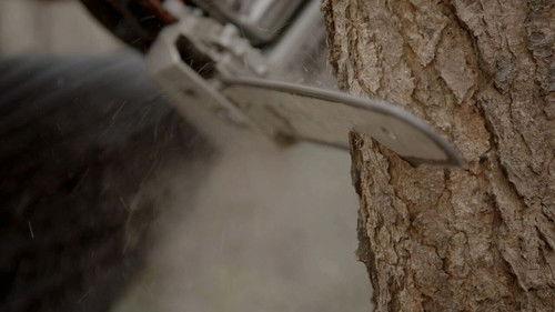 Pano Season 7 Episode 5 - Episode 5