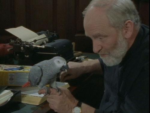 Hope Island Season 1 Episode 11 - Red Sky at Morning, Sailor Take Warning