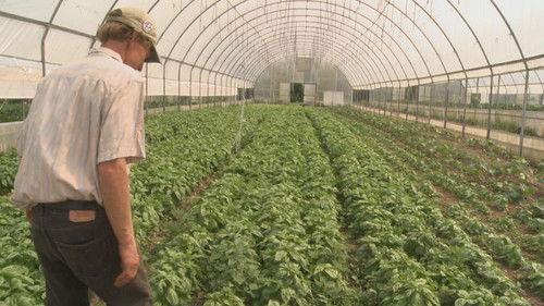 Wisconsin Foodie Season 3 Episode 10 - Springdale Farm