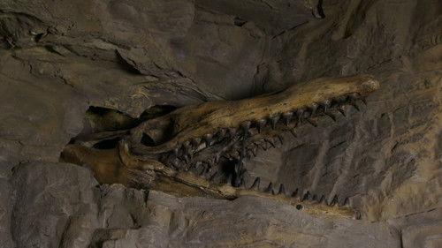 In Search of Monsters Season 1 Episode 1 - The Loch Ness Monster