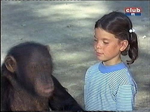 Daktari Season 4 Episode 15 - Judy Comes Home