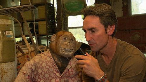 American Pickers Season 2 Episode 8 - One Pony Town