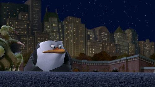 The Penguins of Madagascar Season 1 Episode 28 - Cat's Cradle