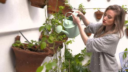 Bienvenidos a mi Hotel Season 1 Episode 7 - Episode 7