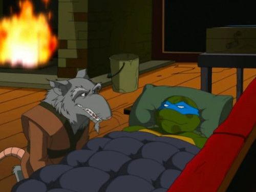 Teenage Mutant Ninja Turtles Season 1 Episode 19 - Tales of Leo