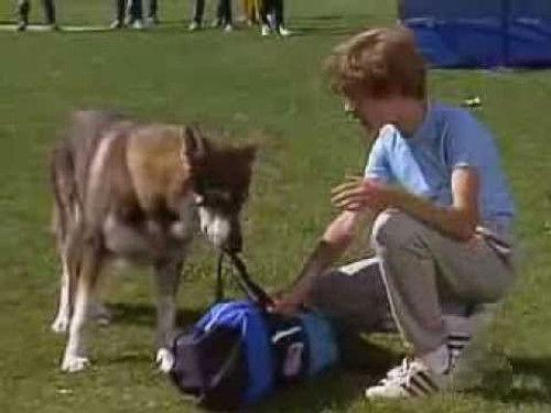 The Littlest Hobo Season 6 Episode 1 - Second Best