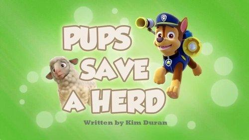 undefined Season 2 Episode 16 - Pups Save a Herd