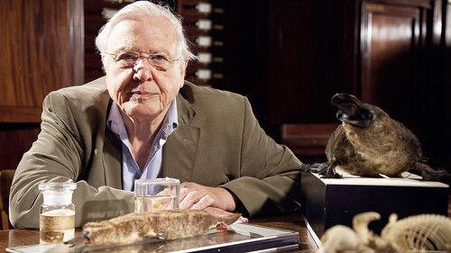 David Attenborough's Natural Curiosities Season 1 Episode 2 - A Curious Hoax?
