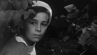 Poly Season 2 Episode 11 - Episode 11