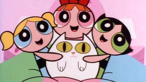 undefined Season 1 Episode 19 - Cat Man Do