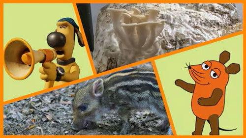 Die Sendung mit der Maus Season 56 Episode 9 - Episode 9