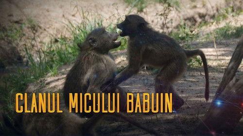 TeleEnciclopedia Season 2023 Episode 20 - Episode 20